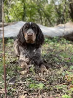 processed/cd3d6b5b-4cc9-433f-be4f-dbf022ee87f0/listing/6ada3a07-b706-41d9-9c47-9e54d890a0e9/14919c64-b3d8-4bc4-9c38-eeabc965cb61