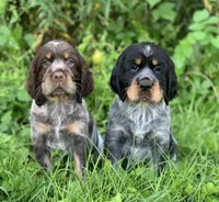 processed/cd3d6b5b-4cc9-433f-be4f-dbf022ee87f0/listing/6ada3a07-b706-41d9-9c47-9e54d890a0e9/8c67ada4-ed4f-4828-a46b-43cecbde8d20