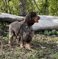 processed/cd3d6b5b-4cc9-433f-be4f-dbf022ee87f0/listing/6ada3a07-b706-41d9-9c47-9e54d890a0e9/b13174c4-93bc-4ad6-9d13-c819184750dd