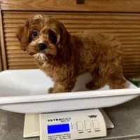 processed/cd3ff0ac-fba5-4362-926c-07f940faabd5/listing/6ee7c1c2-0f50-4e43-a2e5-f1a844d2844e/758adcc7-1212-4427-8148-33925ae4ba40