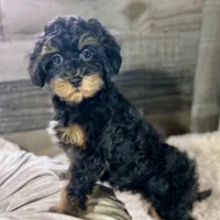 processed/cd3ff0ac-fba5-4362-926c-07f940faabd5/listing/991344e1-5c0d-4ad5-9bd3-40e8a70b0c58/070895f6-5fc2-4d17-afde-2f6ccb64349e