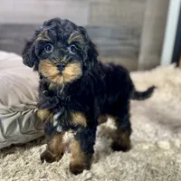 processed/cd3ff0ac-fba5-4362-926c-07f940faabd5/listing/991344e1-5c0d-4ad5-9bd3-40e8a70b0c58/5d28d832-2fb3-48dc-9f22-eeac9fe871a5