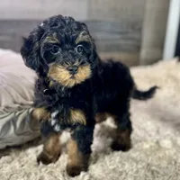 processed/cd3ff0ac-fba5-4362-926c-07f940faabd5/listing/991344e1-5c0d-4ad5-9bd3-40e8a70b0c58/61c698aa-26b1-4464-9d9f-1dae10fa3212