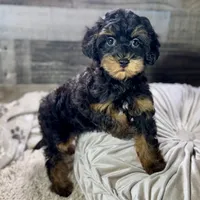 processed/cd3ff0ac-fba5-4362-926c-07f940faabd5/listing/991344e1-5c0d-4ad5-9bd3-40e8a70b0c58/a2634150-f14d-4587-a332-dcc0ba0f09b6