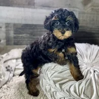 processed/cd3ff0ac-fba5-4362-926c-07f940faabd5/listing/991344e1-5c0d-4ad5-9bd3-40e8a70b0c58/cc92ff7c-7530-40f5-b4d7-e655bc60172c