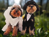 processed/cd4bcec2-b1fc-4283-b36b-81463eeb5193/facility/4a63a2ec-b568-4fcf-a54c-84ba6b92cc4d