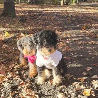 processed/cd4bcec2-b1fc-4283-b36b-81463eeb5193/facility/83dfc442-ea4c-4bc1-8706-f4c6e5f506b2