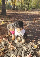 processed/cd4bcec2-b1fc-4283-b36b-81463eeb5193/facility/83dfc442-ea4c-4bc1-8706-f4c6e5f506b2