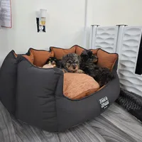 processed/cd4bcec2-b1fc-4283-b36b-81463eeb5193/facility/94ec1ec5-71d0-47e3-9d02-96a4f2e24814