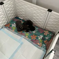 processed/cd4bcec2-b1fc-4283-b36b-81463eeb5193/facility/9bdfc85b-150b-48b0-989a-858f979b435a