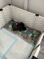 processed/cd4bcec2-b1fc-4283-b36b-81463eeb5193/facility/9bdfc85b-150b-48b0-989a-858f979b435a