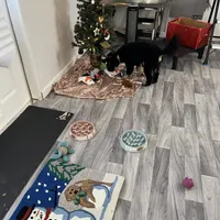 processed/cd4bcec2-b1fc-4283-b36b-81463eeb5193/facility/9e2502eb-e0aa-4ba6-9e4d-b21e8b78fc7d