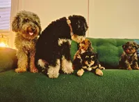 processed/cd4bcec2-b1fc-4283-b36b-81463eeb5193/facility/c0a2dd7c-90c8-44ad-afdf-a185f587c9eb