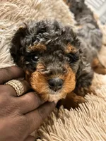 processed/cd4bcec2-b1fc-4283-b36b-81463eeb5193/listing/07a2d6e6-b1d4-4a18-a2e7-42b0ce681588/1ce6460d-fe66-4c1b-8df7-83a64fb9aa23