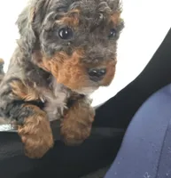 processed/cd4bcec2-b1fc-4283-b36b-81463eeb5193/listing/07a2d6e6-b1d4-4a18-a2e7-42b0ce681588/44d2d432-020f-48d1-9a30-c5abe91c3140