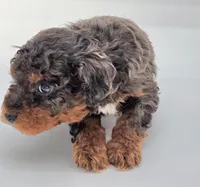 processed/cd4bcec2-b1fc-4283-b36b-81463eeb5193/listing/07a2d6e6-b1d4-4a18-a2e7-42b0ce681588/becc8683-c7c7-4f8e-9129-c1970dc13a05