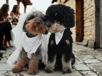 processed/cd4bcec2-b1fc-4283-b36b-81463eeb5193/listing/07a2d6e6-b1d4-4a18-a2e7-42b0ce681588/d54d0625-5324-4b8c-a8f9-55de35f6c7cd