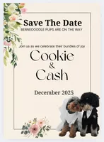 processed/cd4bcec2-b1fc-4283-b36b-81463eeb5193/listing/1e14fad2-7a70-4917-a6f1-52519601cf58/0ca9356c-dfab-4624-8343-4535a2313318