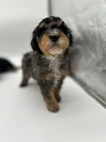 processed/cd4bcec2-b1fc-4283-b36b-81463eeb5193/listing/1e14fad2-7a70-4917-a6f1-52519601cf58/54cf99b1-a0b3-4e33-b47e-ee6331c6b454