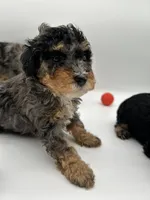 processed/cd4bcec2-b1fc-4283-b36b-81463eeb5193/listing/1e14fad2-7a70-4917-a6f1-52519601cf58/c5f02fbe-bc99-407f-a62c-153d9dab1fc0