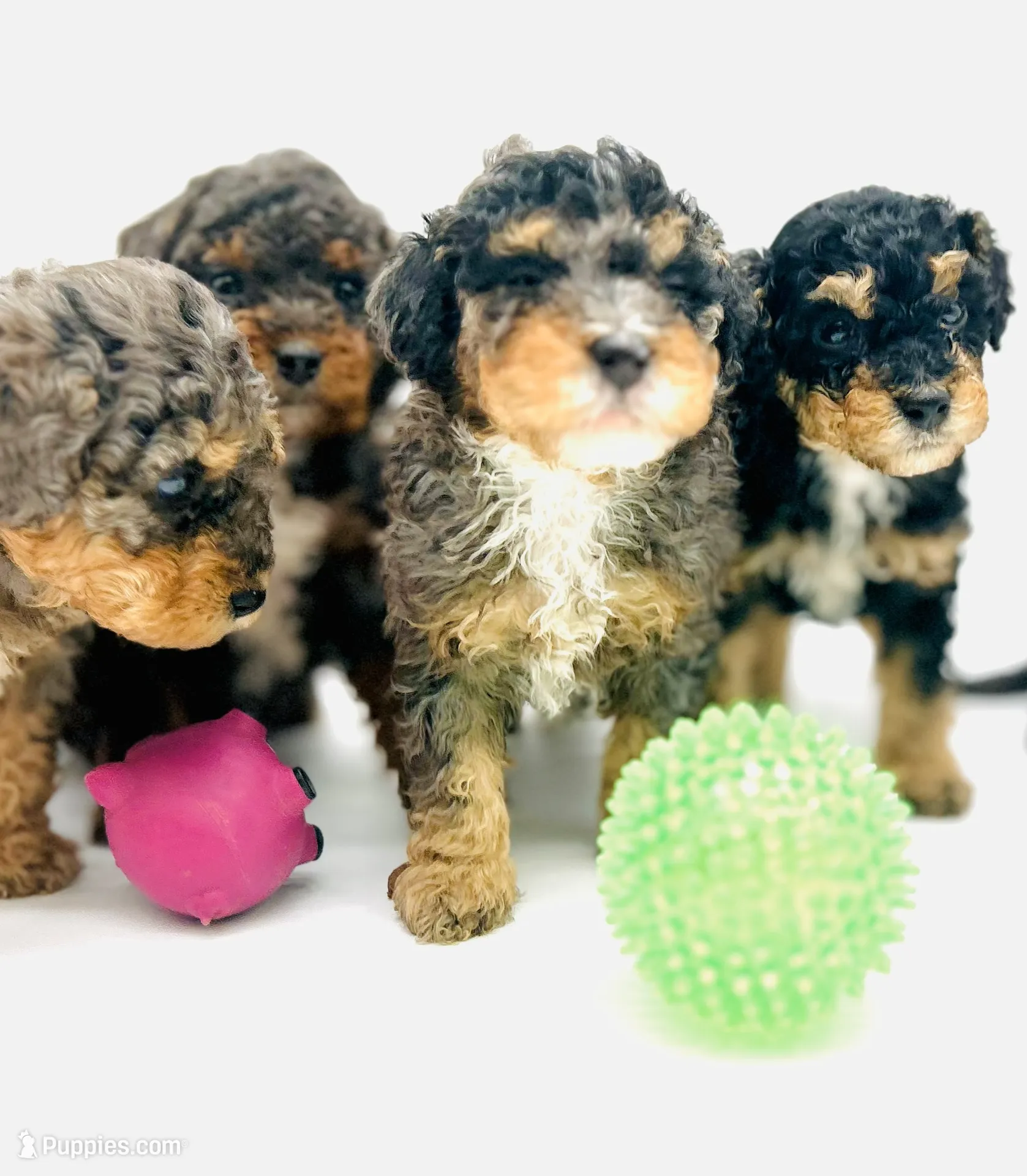 processed/cd4bcec2-b1fc-4283-b36b-81463eeb5193/listing/1e14fad2-7a70-4917-a6f1-52519601cf58/fac0790f-c409-443f-a163-c8fa9f4a9ece