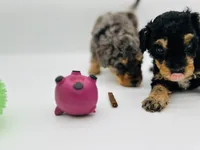 processed/cd4bcec2-b1fc-4283-b36b-81463eeb5193/listing/5c44bb26-a6e0-4847-929e-c3dcab9faeb6/331678bf-919e-4bf8-b9e5-3ada07df86a6