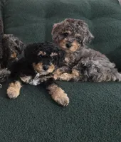 processed/cd4bcec2-b1fc-4283-b36b-81463eeb5193/listing/5c44bb26-a6e0-4847-929e-c3dcab9faeb6/343c9910-fa1c-4602-9f8b-6817f8a25498