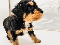 processed/cd4bcec2-b1fc-4283-b36b-81463eeb5193/listing/5c44bb26-a6e0-4847-929e-c3dcab9faeb6/51bf99fa-5fc7-4abd-b748-b3fbf345835f