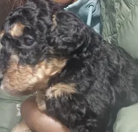 processed/cd4bcec2-b1fc-4283-b36b-81463eeb5193/listing/5c44bb26-a6e0-4847-929e-c3dcab9faeb6/8f387880-6b05-4db7-bea9-8559eac314a9