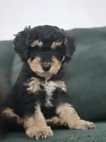 processed/cd4bcec2-b1fc-4283-b36b-81463eeb5193/listing/5c44bb26-a6e0-4847-929e-c3dcab9faeb6/e225ff15-d3c9-4b5b-a015-0b4805293238