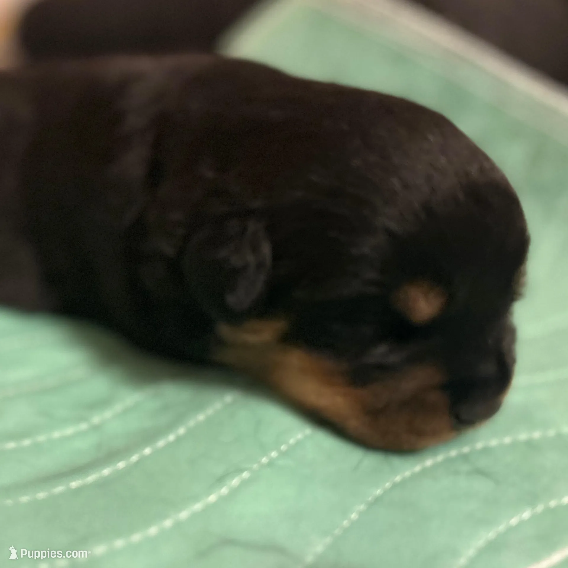 processed/cd5f5a70-d837-4b91-9947-cdb9ad5ae548/facility/15750451-a496-40e0-bc6d-05bc4a65ed9d