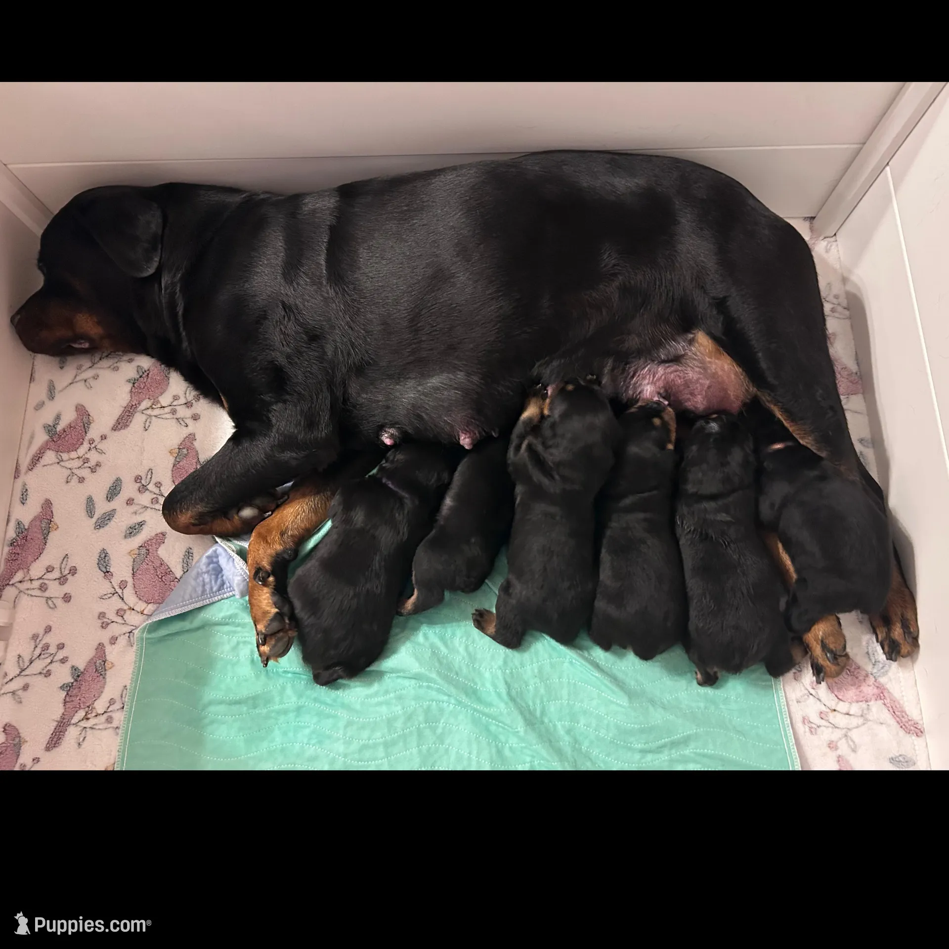 processed/cd5f5a70-d837-4b91-9947-cdb9ad5ae548/facility/25d737d3-12f4-4c7c-a444-4498bd89d2ae