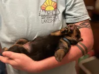 processed/cd5f5a70-d837-4b91-9947-cdb9ad5ae548/facility/7dddb929-efd4-4da2-8cbc-31e2398ffe49