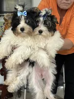 processed/cd61ba13-f701-4f53-bba5-27360cc1673f/listing/06c2f791-9421-48ed-8143-80651b015634/3535eede-8f74-439f-9f30-4b07a3a75dca