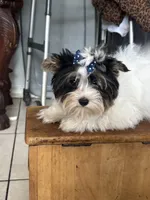 processed/cd61ba13-f701-4f53-bba5-27360cc1673f/listing/06c2f791-9421-48ed-8143-80651b015634/b63a78df-e533-498a-8b11-b59224146d6d