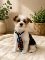 Jack, a male Biewer for sale in Vero Beach, FL – 8 of 9