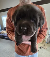 processed/cd68b7a6-d388-4186-a448-dc3d59fd6bda/listing/24a41798-9146-452f-ab30-baedafd82c18/405f03a1-7dd2-499d-9fd1-483a5caa4c07