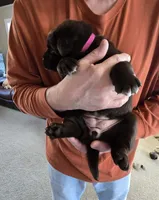 processed/cd68b7a6-d388-4186-a448-dc3d59fd6bda/listing/24a41798-9146-452f-ab30-baedafd82c18/7f46d732-457a-41ae-a098-74570a59438b