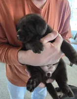 processed/cd68b7a6-d388-4186-a448-dc3d59fd6bda/listing/24a41798-9146-452f-ab30-baedafd82c18/d8fbc7e9-6f84-49ec-baf5-feba7ffd76e2