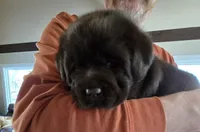 processed/cd68b7a6-d388-4186-a448-dc3d59fd6bda/listing/24a41798-9146-452f-ab30-baedafd82c18/e468a55e-e8b0-4825-b14e-62079c99a451