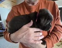 processed/cd68b7a6-d388-4186-a448-dc3d59fd6bda/listing/24a41798-9146-452f-ab30-baedafd82c18/f46d338e-a0bc-4a8d-ab98-6ce45f0fd5a6