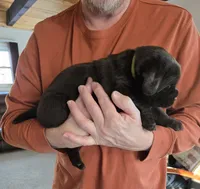 processed/cd68b7a6-d388-4186-a448-dc3d59fd6bda/listing/25aa78db-1cbf-42f0-abb6-149bb3f3db3f/3fdfa2aa-5438-430b-9dba-51b645d5d47d