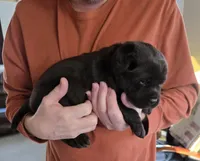 processed/cd68b7a6-d388-4186-a448-dc3d59fd6bda/listing/25aa78db-1cbf-42f0-abb6-149bb3f3db3f/62963922-6039-415c-9fac-2f281610e747