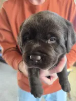 processed/cd68b7a6-d388-4186-a448-dc3d59fd6bda/listing/25aa78db-1cbf-42f0-abb6-149bb3f3db3f/740fed52-36cb-48e3-9aed-ec348327ab9f