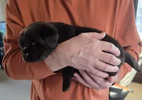 processed/cd68b7a6-d388-4186-a448-dc3d59fd6bda/listing/25aa78db-1cbf-42f0-abb6-149bb3f3db3f/b0577ef6-8a54-418a-b662-d37fad945d18