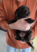 processed/cd68b7a6-d388-4186-a448-dc3d59fd6bda/listing/25aa78db-1cbf-42f0-abb6-149bb3f3db3f/dc176b23-7641-439f-8846-ed0d62186544