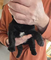 processed/cd68b7a6-d388-4186-a448-dc3d59fd6bda/listing/2b86a7cb-7b67-4af5-b5ab-b1412ceb7bd5/08c7fa6d-0838-4c59-bbf6-64b3babb635e