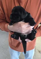 processed/cd68b7a6-d388-4186-a448-dc3d59fd6bda/listing/2b86a7cb-7b67-4af5-b5ab-b1412ceb7bd5/2862446c-de82-4f22-8890-01f8c77405e2