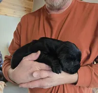 processed/cd68b7a6-d388-4186-a448-dc3d59fd6bda/listing/2b86a7cb-7b67-4af5-b5ab-b1412ceb7bd5/ffb1551d-0e83-4d3e-86c3-59d3f636effe