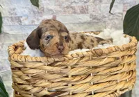 processed/cd68d00d-eadb-4839-b374-d44629e4baa8/listing/a1d66a14-fae3-41e6-922f-9ade7754251e/1bba5ffc-8030-4f19-8bba-53e5b2a5e484